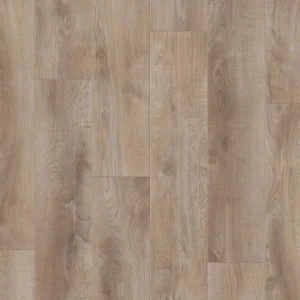 PP-STY00386